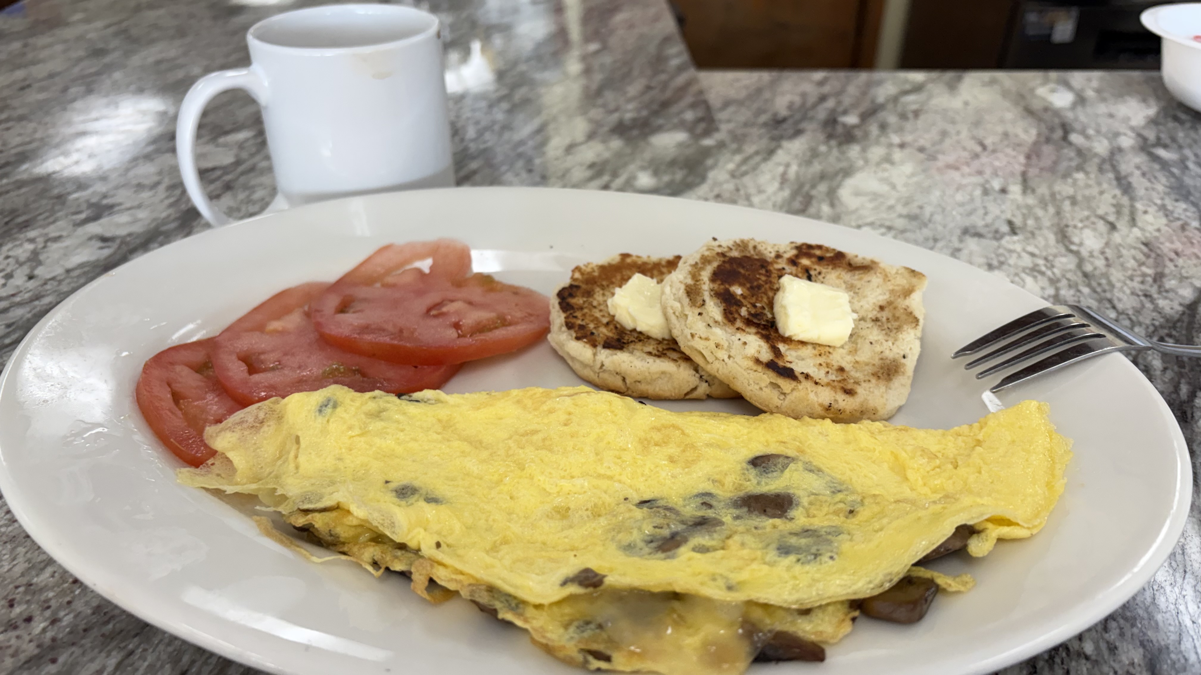 Mushroom Swiss Omelette